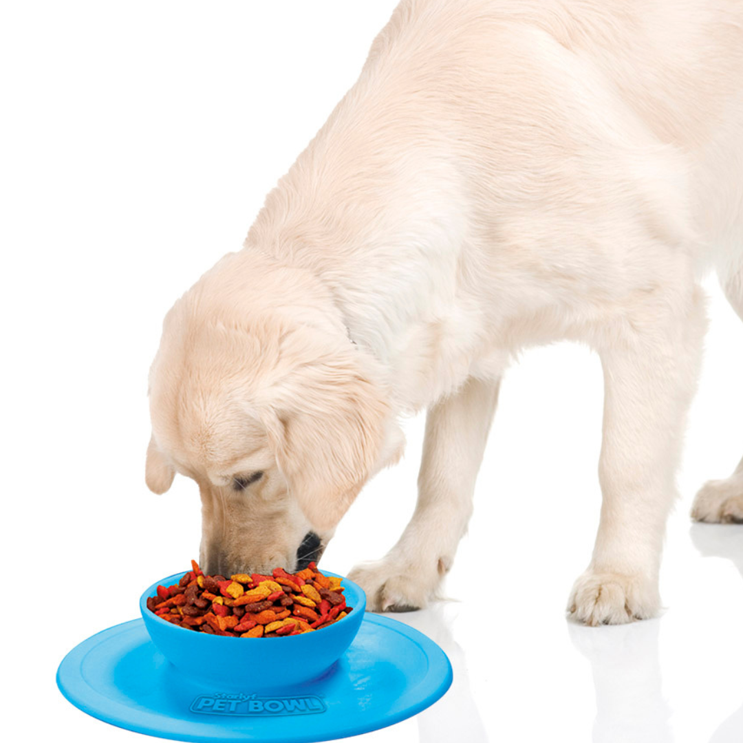 Comedero Antideslizante para Mascotas