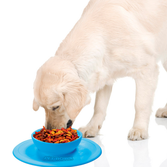 Comedero Antideslizante para Mascotas