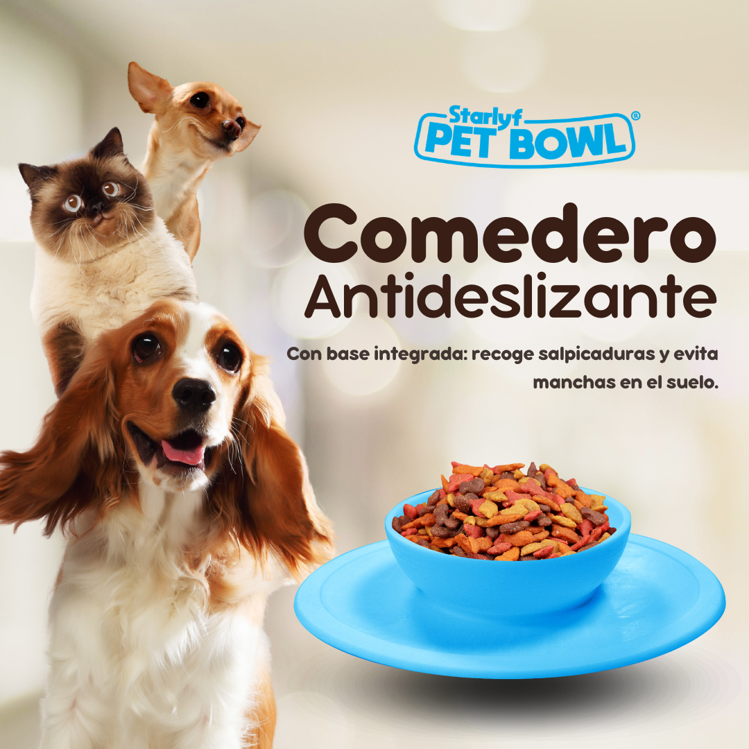 Comedero Antideslizante para Mascotas